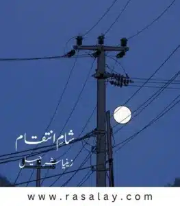 Shaam E Inteqam PDF Cover