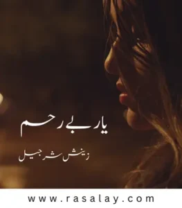 Yaar Beraham Novel By Zeenia Sharjeel