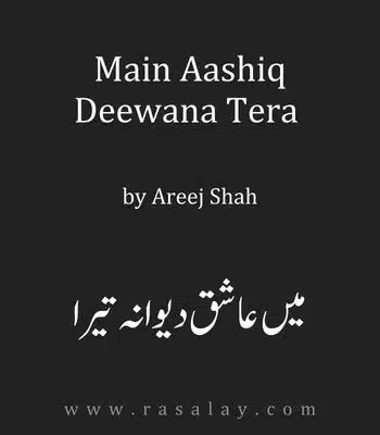 pdf book cover of Main Aashiq Deewana Tera Novel By Areej Shah