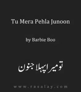 Tu Mera Pehla Junoon Novel By Barbie Boo PDF